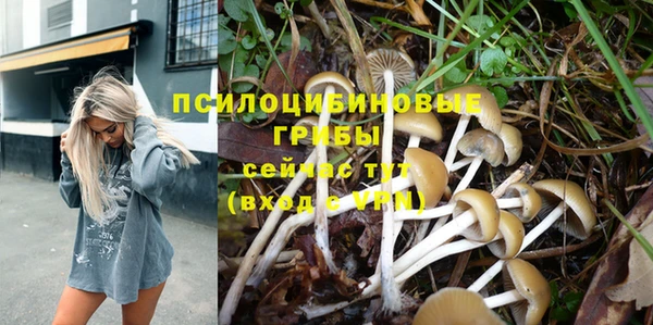 ешки Янаул