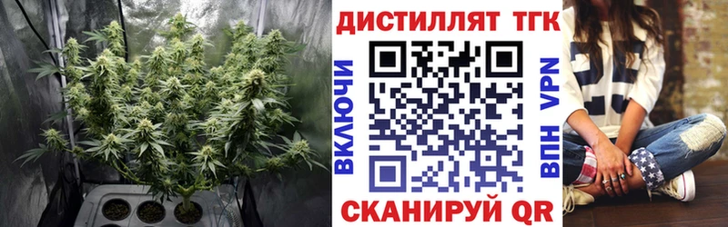 МЕГА как войти  наркошоп  Элиста  ТГК Wax 