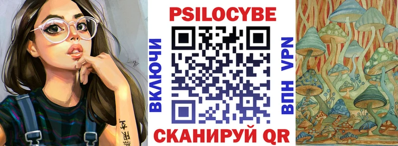 Псилоцибиновые грибы Cubensis  Элиста 