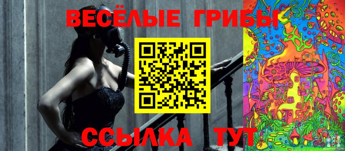 Псилоцибиновые грибы мухоморы  сколько стоит  Элиста  Вход с VPN 