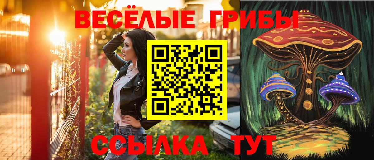 Галлюциногенные грибы Psilocybine cubensis Элиста